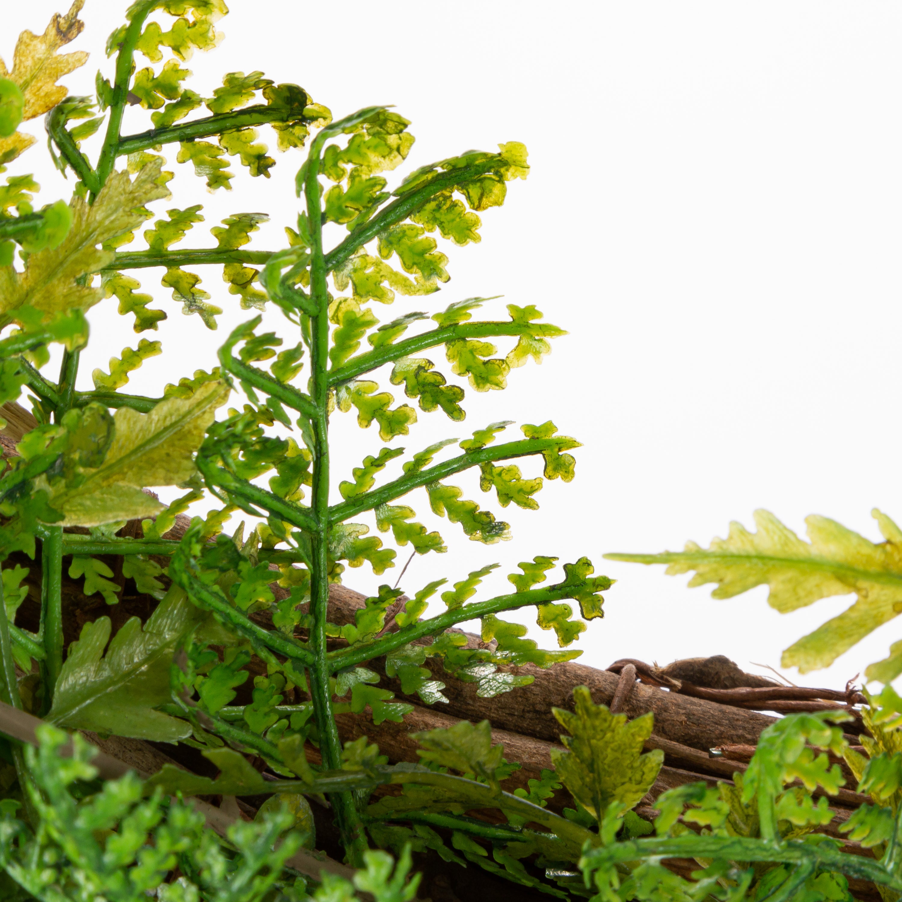 26 in. Fern Wreath